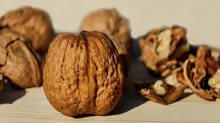 what is the benefit of eating walnuts