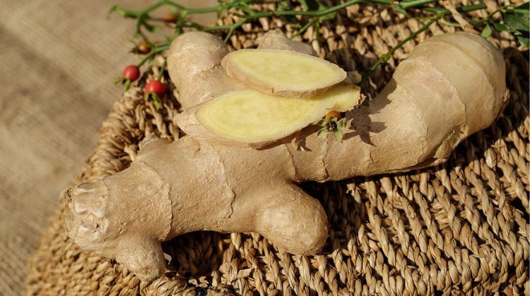 what's the benefit of ginger