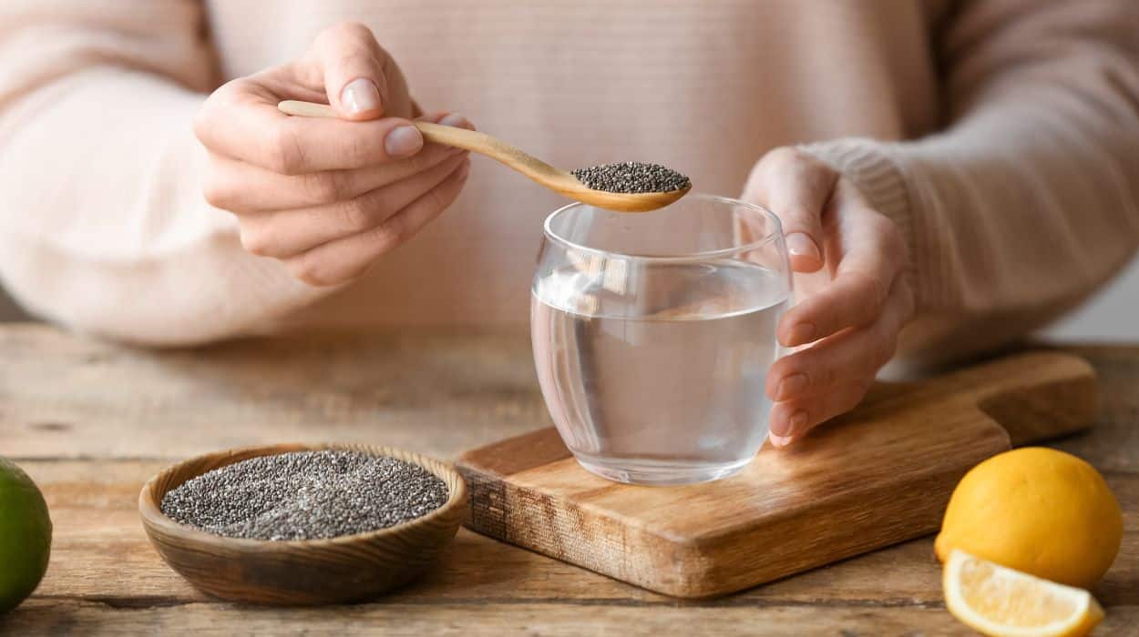Should We Have Chia Seeds Daily