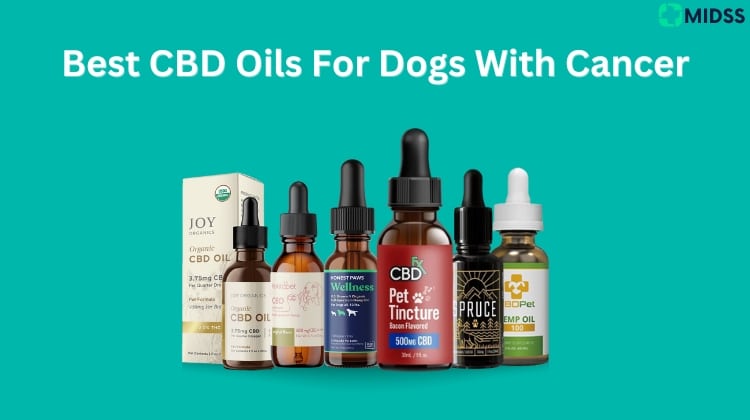 best cbd oil for dog cancer
