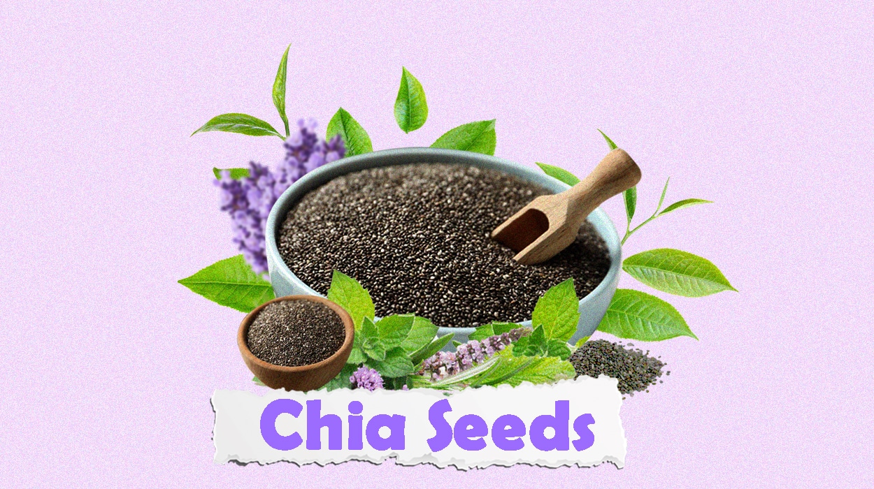 Boost Your Digestion with Chia Seeds - All Info In Our Guide 2024